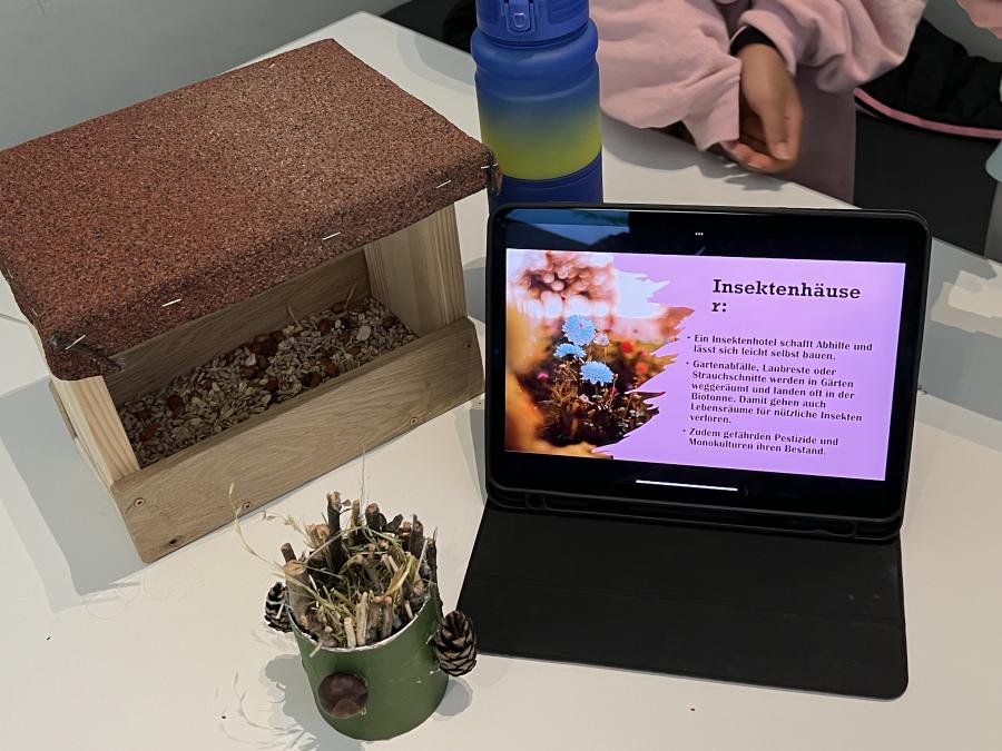 Eines der nachhaltigen Projekte des offenen Lernens ist das Projekt "Insektenhäuser" von denen eins auf diesem Bild zu sehen ist. 