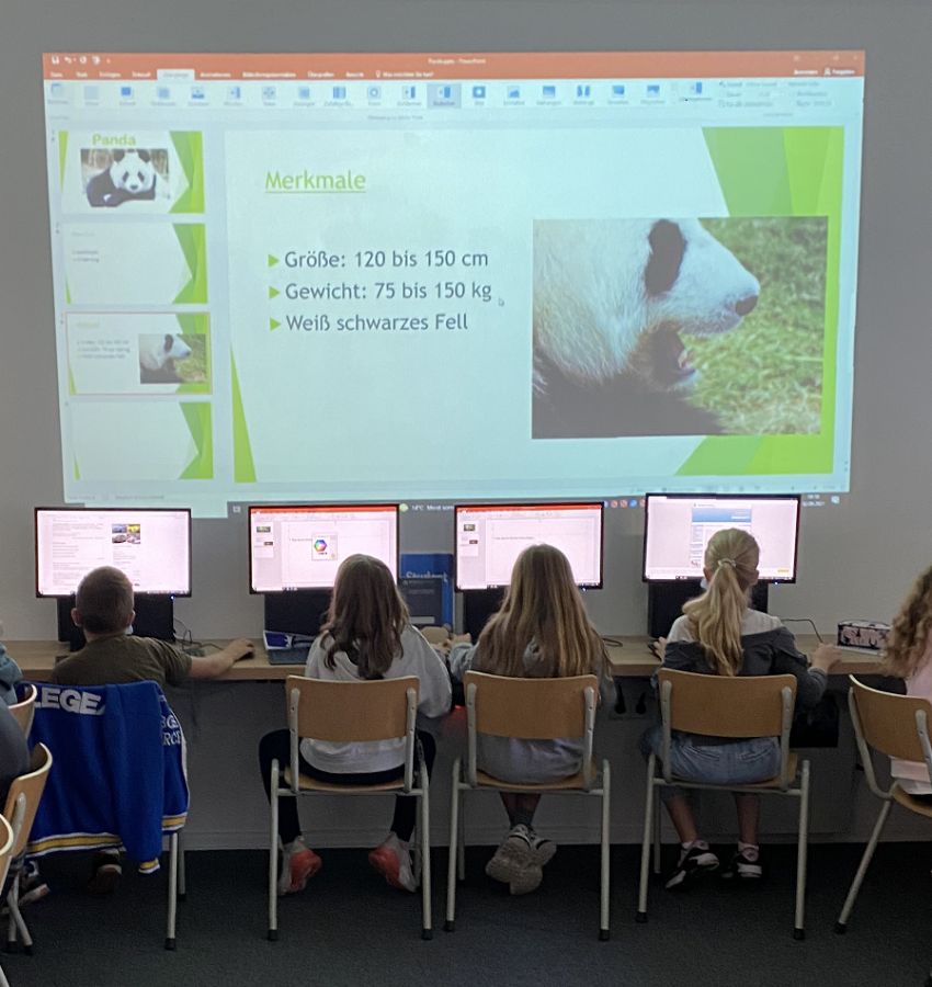Schülerinnen und Schüler arbeiten an einer PowerPoint-Präsentation zum Thema "Panda"